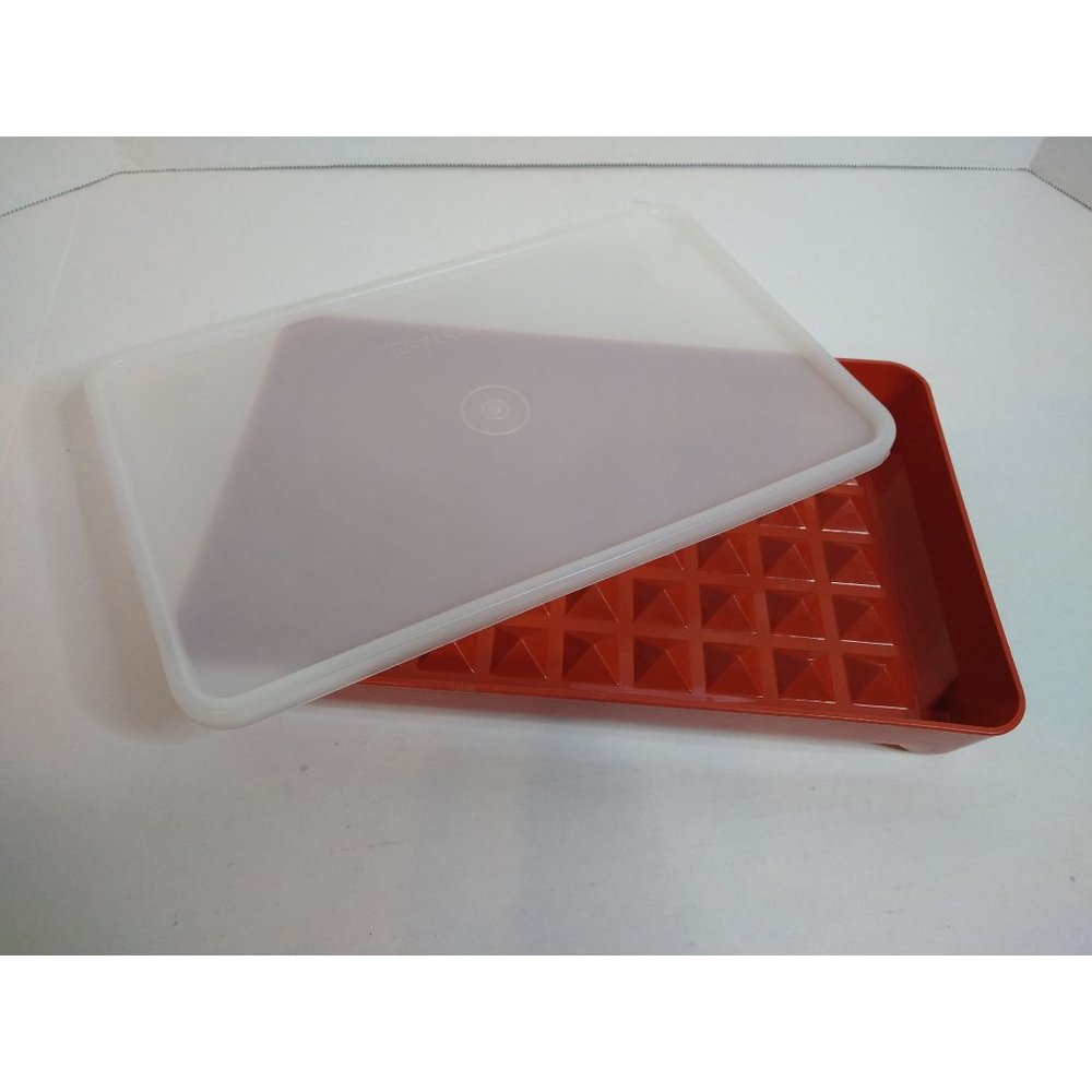 Vintage Tupperware meat keeper 1292-4
